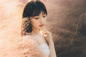 兄弟姐妹对上海情感决策的影响 兄弟姐妹对上海情感决策的影响